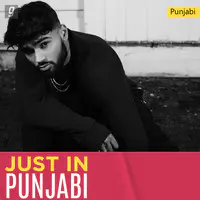 Just In Punjabi