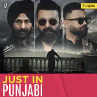 Just In Punjabi