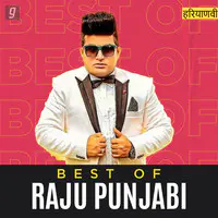 Best of Raju Punjabi