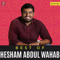 Best of Hesham Abdul Wahab