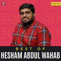 Best of Hesham Abdul Wahab