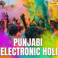 Punjabi Electronic Holi