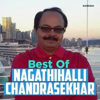 Best of Nagathihalli Chandrasekhar
