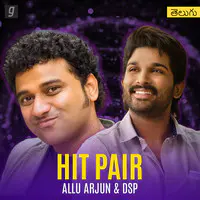 Hit Pair : Allu Arjun & DSP