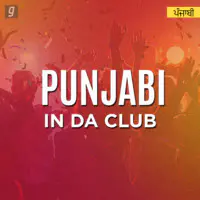 Punjabi In Da Club