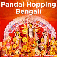 Pandal Hopping Bengali