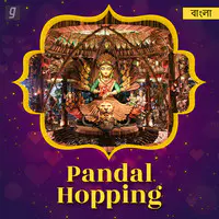 Pandal Hopping Bengali