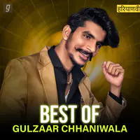 Best of Gulzaar Chhaniwala