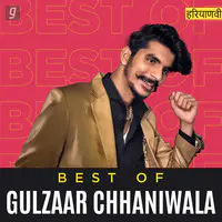 Best of Gulzaar Chhaniwala