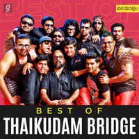 Best of Thaikkudam Bridge