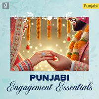 Punjabi Engagement Essentials