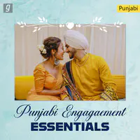 Punjabi Engagement Essentials