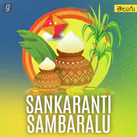 Sankranthi Sambaralu