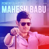 Powerful Hits of Mahesh Babu