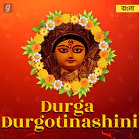 Durga Durgotinashini