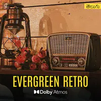 Evergreen Retro