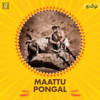 Maattu Pongal