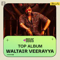 Waltair Veerayya - Top Album 2023