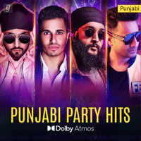 Dolby Punjabi Party Hits