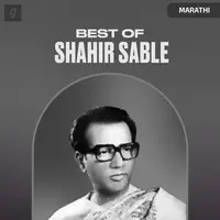 Best of Shahir Sable