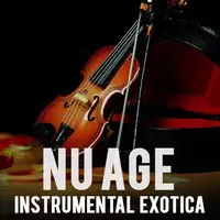 Nu Age Instrumental Exotica