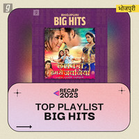 Bhojpuri Big Hits Songs, Download Bhojpuri Big Hits Mp3 Songs On Gaana.com