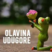 Olavina Udugore