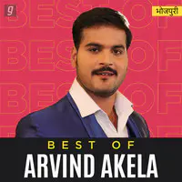 Best of Arvind Akela Kallu