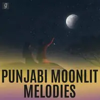Punjabi Moonlit Melodies