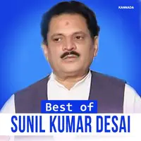 Best Of Sunil Kumar Desai