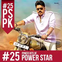 Power Hits of Power Star