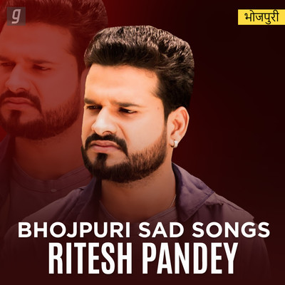 holi song mp3 ritesh pandey