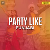 Party Like Punjabi