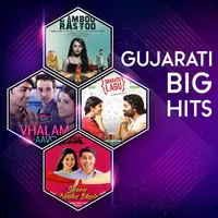 Gujarati Big Hits