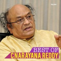 Best of C.Narayana Reddy