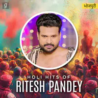 Holi Hits of Ritesh Pandey