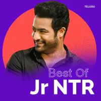 Hits of Young Tiger NTR