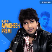 Best of Awadhesh Premi Yadav