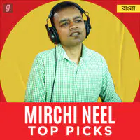 Mirchi Neel Top Picks