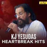 KJ Yesudas Heartbreak Hits