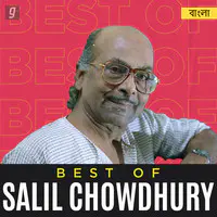 Best of Salil Chowdhury