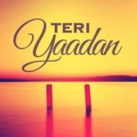 Teri Yaadan