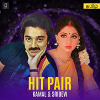 Hit Pair: Kamal & Sridevi