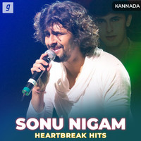 sonu nigam sad songs