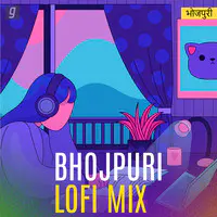 Bhojpuri Lofi Mix - (slowed-reverb)