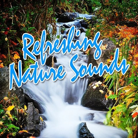 Relaxing Nature Sounds | Free Sound Clips free nature sounds download mp3