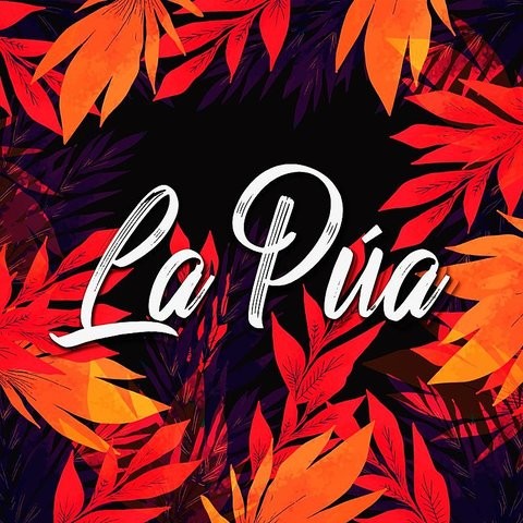 La Púa Song Download: La Púa MP3 Song Online Free on 0
