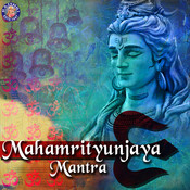 Download Mahamrityunjaya Mantra