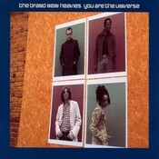 you are the universe brand new heavies mp3