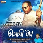 vip marathi mp3 song